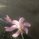 프레시랩 이미지