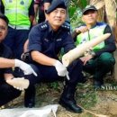 상아농장 이미지