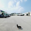 중원농협 금가지점 이미지