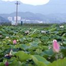 전남여행 선비들의 정신이 남아있는 영귀서원 이미지