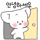 뉴타운강정