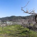 죽곡면 고치리 마을회관 이미지