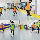 국가대표태인태권도장 이미지