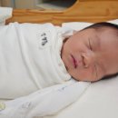 엄마손 산후조리원 이미지