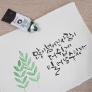수채화 캘리그라피 이미지