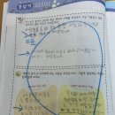 오동초등학교 | [오동초 국어] 글이 점점 길어지는 게 눈에 보이는 변화, 세움학원 국어 수업 후기 ✏️