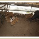 창원농장 이미지