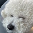 표선동물병원 이미지