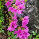 봉곡2교 이미지