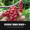 자향농장 이미지