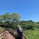 제주 올레길 9코스 | 제주 올레길 9코스 후기