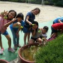 음봉초등학교 이미지