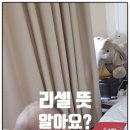 Like 이즈 iz (라이크이즈) | [생활 영어] 리셀 뜻과 중고 거래·한정판 필수 영어 회화 15선 완벽 가이드
