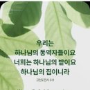 너희가 가중히 여길 것은 5 이미지