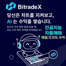 비트레이드