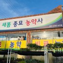 새봄종묘농약사 이미지