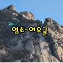 여우굴