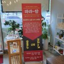 마라명가 이미지