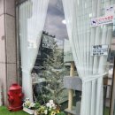 펫미리애견샵 이미지