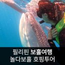 다보식당 - 울주군 | 여행 고래상어 호핑투어 현지 예약 vs 한인 업체 고민 끝 놀다보홀 내돈내산 후기 막차 아주 제대로 탔네요