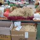 중앙인삼사 - 영주시 소백로 2156 | 중앙인삼사