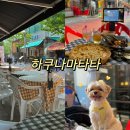 하쿠나마타타 | 부천상동 애견동반맛집 [하쿠나마타타] 야장 감성 데이트 후기