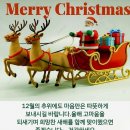 2024.Merry Christmas 🎄 야경 🌃 겨울 빛 축제 💘남포동거리 워킹👣 이미지