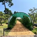 솔숲하우스 이미지