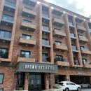 브라운도트 이미지