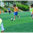 송탄 경희대 태권도 이미지