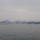 참장어