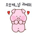 토이파티 이미지