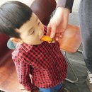 늘해랑농장 이미지