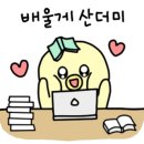애견아트 이미지