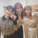 금잔디 이미지