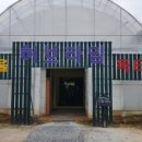 파크독&살롱 네이버블로그