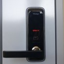 천년나무3단지 앞 이미지