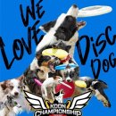 강아지 숲 이미지