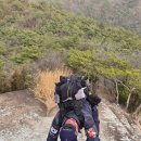 청풍공설운동장 공설운동장 | 제천시 작은동산(堤川市 東山).청풍호반(淸風湖畔)과 함께 작은동산을 걸어며 기암괴석(奇巖怪石)의...