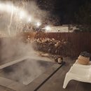 스테이위드독 이미지