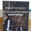 한국블랙모아