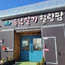 주식회사 힐링팜 티스토리