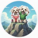 윌로우댄스 | 메이아라 등산양말 울포디움 등산니삭스, 리얼블랙·윌로우 착용 후기