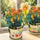 성남생명숲어린이집 | 남양주구리성남,식목일 원예체험 유치원 독서원예수업 칼란디바 반려식물 심기