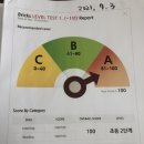 브릭스 리딩 레벨테스트 결과 이미지