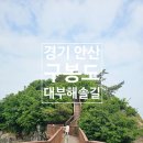 구봉도(제1대부해솔길) 화장실 | 경기 안산 대부도 구봉도 대부 해솔길 1코스 트레킹