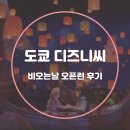 도쿄 디즈니씨 입장권 비오는날 오픈런 후기 라푼젤 피터팬 DPA