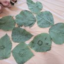 풍산초등학교병설유치원 이미지