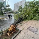 인천지방경찰청 앞 이미지