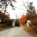 봉조농촌체험학교(봉조마을) 이미지